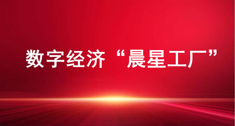 裕航合金、長(zhǎng)壽花食品入選山東省首批數(shù)字經(jīng)濟(jì)“晨星工廠”