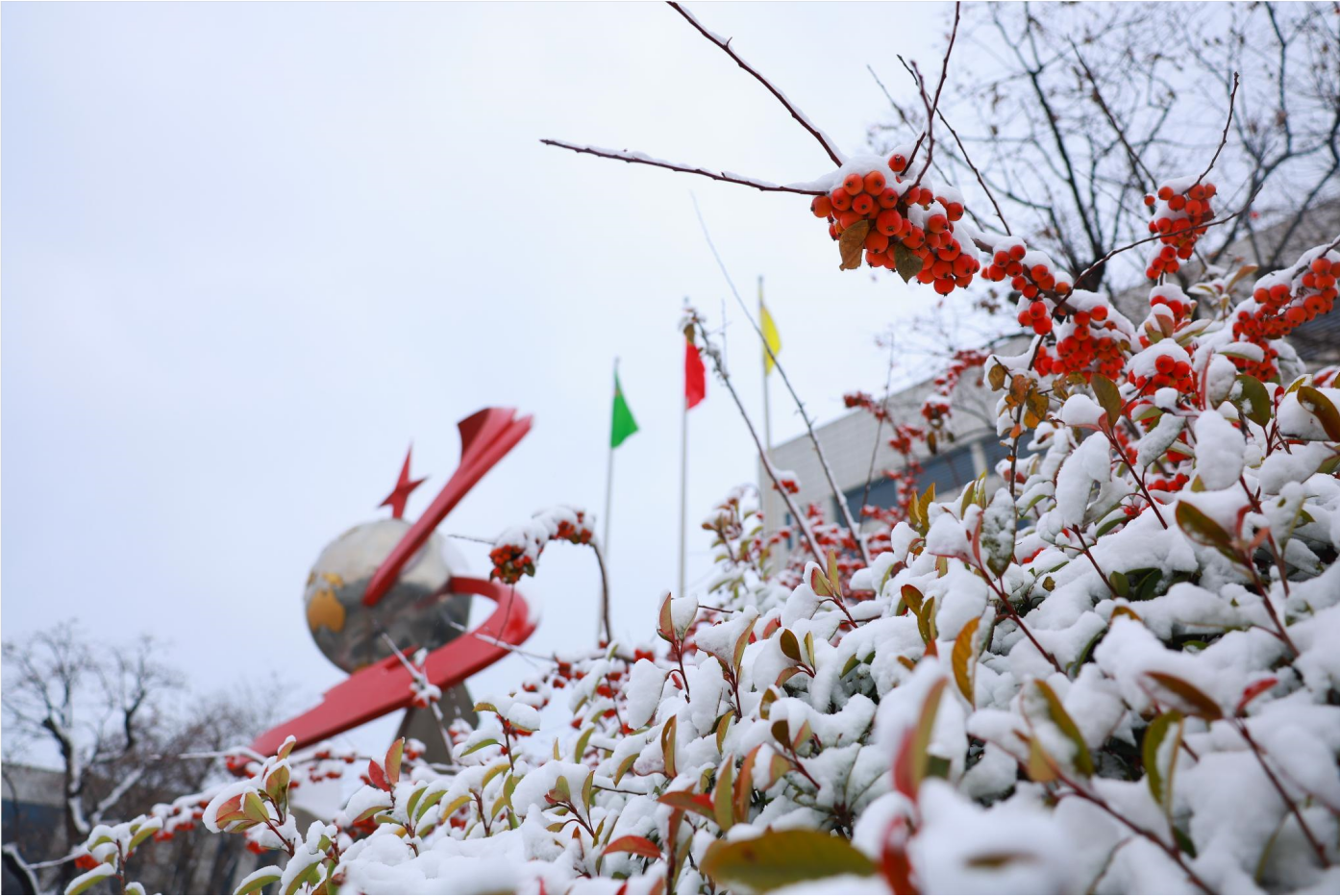 組圖｜瑞雪豐年 雪遇三星